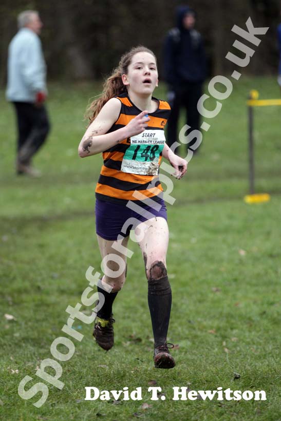 Green 148 Start First North East Harrier League,  Jarrow.